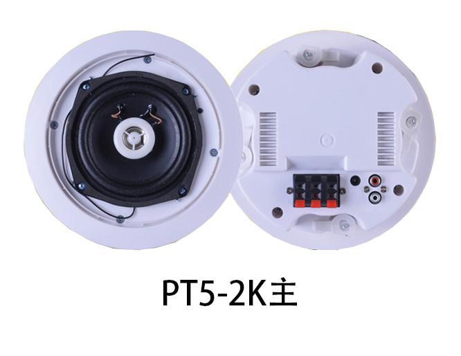 Active-Main-Speaker-PT5-2K Active Main Speaker PT5-2K - Image 1