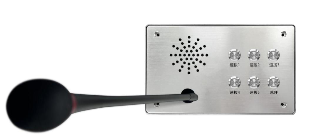 Custom-sip walkie-talkies SIP-DZ-6 Custom-sip walkie-talkies SIP-DZ-6 - Image 1