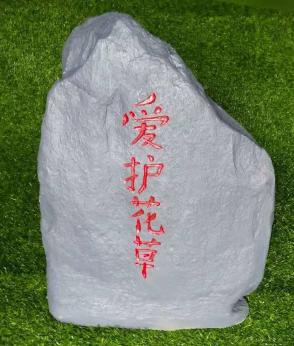 FS322 FS322 - Image 1