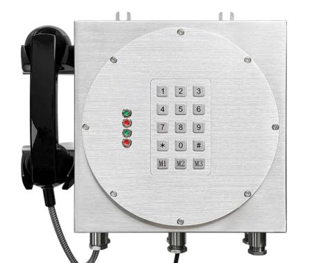 SIP explosion proof Telephone Yd-bg-316 SIP explosion proof Telephone Yd-bg-316 - Image 1